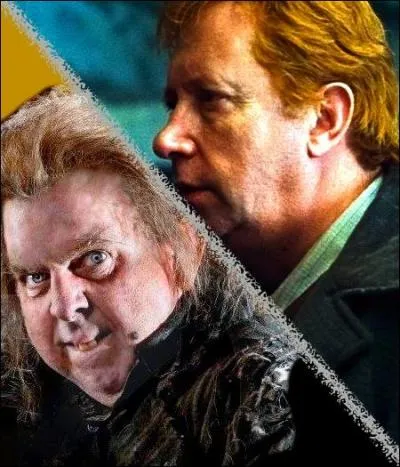 Quel est le point capillaire commun entre Arthur Weasley et Queudver ?