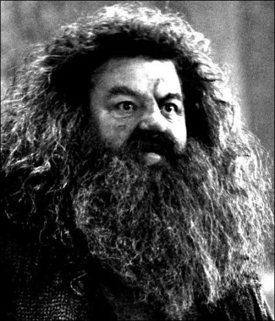 Quand Hagrid se met sur son 31, il se met aussi de l'huile de moteur dans les tifs ; que retrouve-t-on également dans sa tignasse hirsute ?