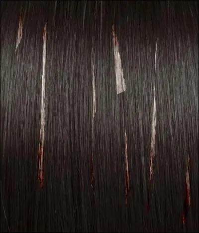 « Il semblait malade et épuisé. Bien qu'il fût encore jeune, ses cheveux châtains étaient parsemés de mèches blanches. »