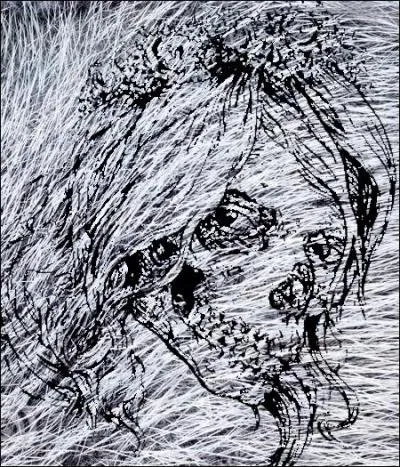 « Son visage à présent était maigre et usé, ses yeux semblaient trop grands et ses cheveux, devenus blancs, étaient fins et ternes comme ceux d'un mort. »