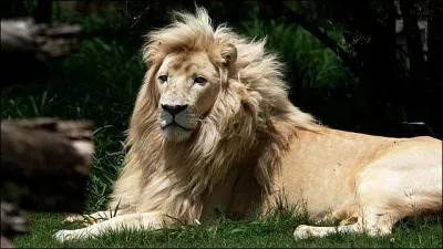 Règlement de comptes !