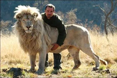 Adjectif sociable et facile d'accès !