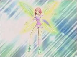 Quelle est cette transformation ?