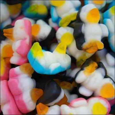 Quel animal représentent ces bonbons ?