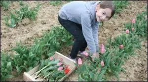 « Mes tulipes étaient si jolies que ma sur a été au fond du jardin pour en cueillir une dizaine. » Cette déclaration contient-elle une erreur ?