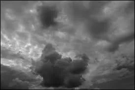 Comment dit-on "gris" ?