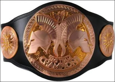 Laquelle de ces tag team n'a pas porté les ceintures de Tag Team Champion en 2014 ?