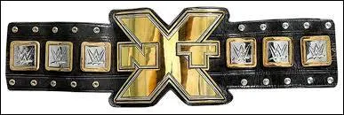 Quel membre du ''Shield'' a été le seul à avoir porté le titre de ''NXT Champion'' ?