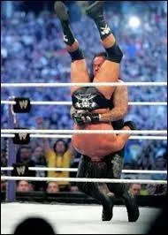Laquelle de ces superstars de la WWE n'a encaissé qu'un seul "Tombston Piledriver" et a perdu par soumission contre l'Undertaker, lors d'un Wrestlemania ?