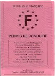 M. Pokora a-t-il eu son permis de conduire ?