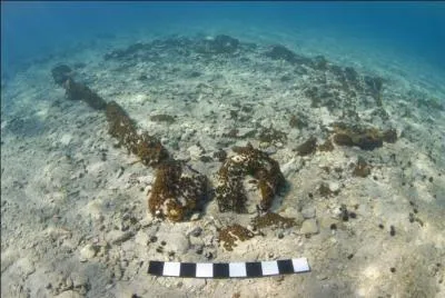 Autre ville engloutie par les eaux : Pavlopetri. Cette cit&eacute; datant de l'&acirc;ge du bronze renferme tout de m&ecirc;me les vestiges arch&eacute;ologiques les plus anciens concernant les cit&eacute;s englouties par les eaux : certains dateraient du N&eacute;olithique. Dans quel pays cette cit&eacute; &eacute;tait-elle situ&eacute;e ?