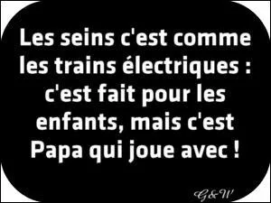 C'est le petit robert.