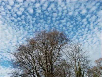 Quand le vent va-t-il souffler ?