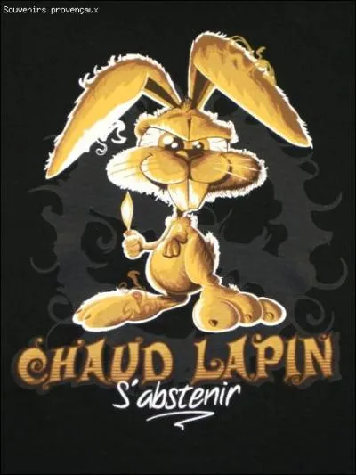 Qu'apporte la coccinelle qui va de fleur en fleur ?