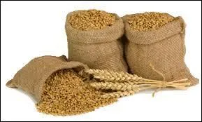 S'il fait beau en juin, il y aura abondance...