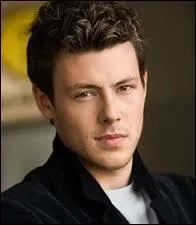 Il joue le rôle de Finn Hudson.