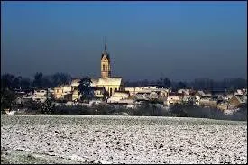 Voici une image de la commune Seine-et-Marnaise du Châtelet-en-Brie sous la neige. Elle se situe en région ...