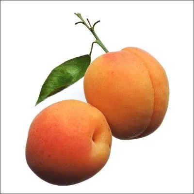 Quels sont ces fruits ?