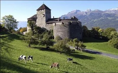 Le Liechtenstein est une principauté européenne de 160 km² dont la capitale est Vaduz. De quel pays cet Etat n'est-il pas frontalier ?
