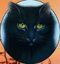 Quiz Erin hunter