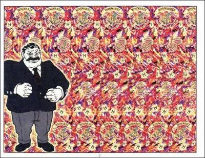 L'oncle Vernon est dans tous ses états, et pour cause, en arrière-plan on distingue :