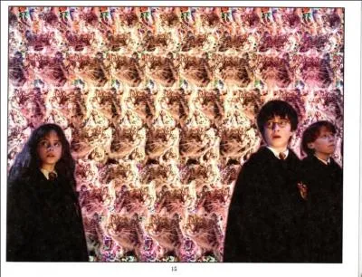 Harry, Ron et Hermione n'ont pas l'air très rassurés et pour cause...