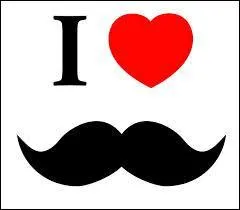 Quelle est la star qui apparaît dans le film ?