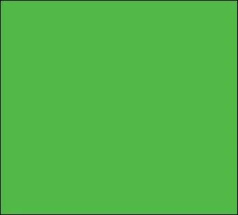 Trouve la bonne orthographe pour cette couleur.