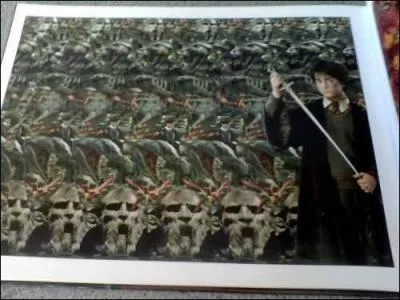 Harry dégaine son épée à côté de...
(l'image est petite mais l'affaire est réalisable ! )