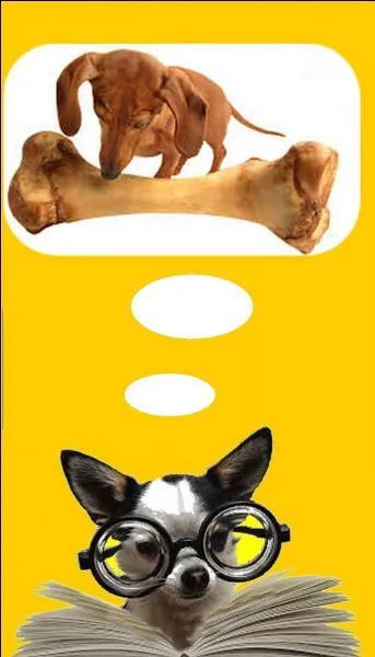 En anatomie, quel est le nom de l'os long de la jambe, situé en avant du péroné ?