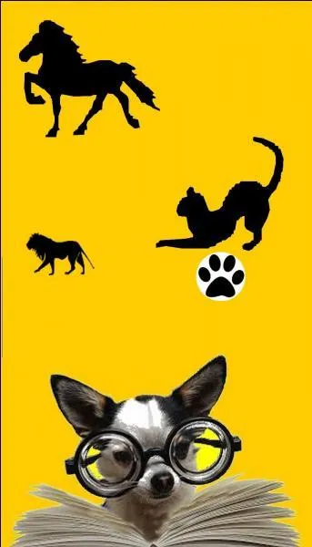 De quel animal le Sphinx de Gizeh en Égypte a-t-il le corps ?