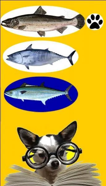 Quel poisson est principalement pêché par un thonier ?