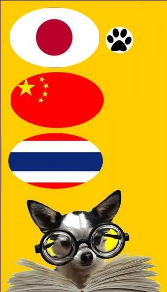 De quel pays les yakitoris, les makis et les sashimis sont-ils des spécialités culinaires ?