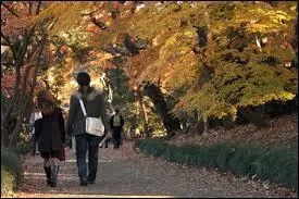 En écoutant « La balade des gens heureux », il se ballade dans son parc favori. ».
Est-ce correct ?