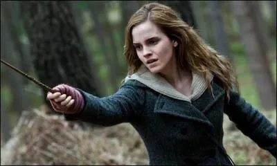 Chaque élève lance ses sorts plus ou moins vite. 
Ron lance moins vite que Harry.
Hermione lance plus vite que Neville mais moins vite que Ron.
Neville lance moins vite que Harry mais plus vite que Seamus.
Enfin, Harry lance plus vite que Seamus.
Classez les du plus rapide au plus lent.