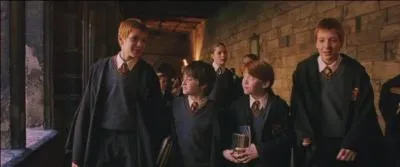 Pour finir dites-moi par qui a été inventé le sortilège breveté sous le nom de Rêve éveillé ?