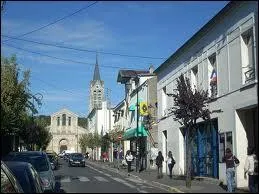 Saint-Leu-la-Forêt est une ville Val-d'Oisienne située en région ...
