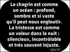 Français : 3e - A quel genre littéraire appartiennent les mots "amant, chagrin, ennui, souffrir, gage..." ?