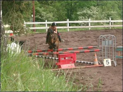 Comment s'appelle cette discipline ?