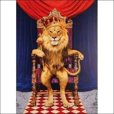 Phrase à traduire.
Le lion est le roi des animaux.