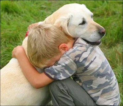 Phrase à traduire.
Les enfants aiment les animaux.