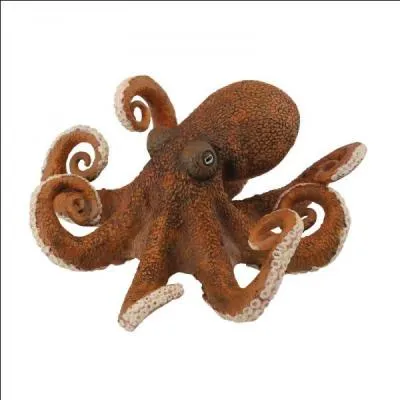 Comment dit-on : 'pieuvre' ?