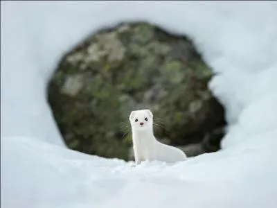 Découvrez le prénom !