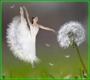 Qui est l'interprète de la chanson « Elle écoute pousser les fleurs » ?