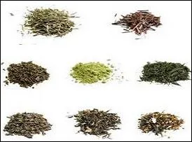 This is a beverage made by steeping processed leaves, répondez-vous à la question d'un client étranger.