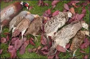 Vous cuisinerez ce « gibier », annonce le chef.