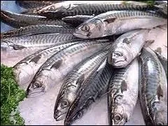 Quelle proposition correspond aux « poissons de mer » que vous allez devoir cuisiner pour le repas de midi ?