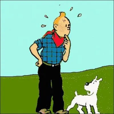 De quel moyen de transport Tintin va-t-il se servir pour rattraper le bandit ?