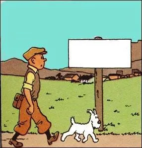 Dans quelle ville arrive Tintin ?