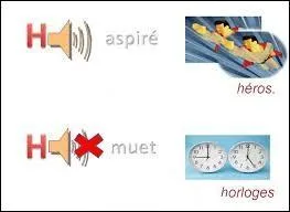 Quel est le groupe nominal fautif ?